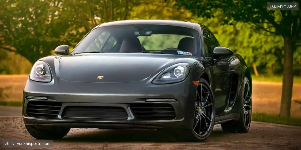 ⚔️🏅 强者较量,荣耀加冕!